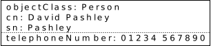 person object